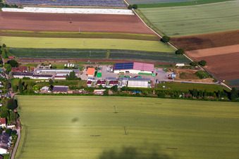 Aerial view of Kugelmann organic farm in Kandel in the state Rhineland-Palatinate, Germany