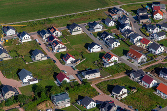 Lavender Trail in Kandel in the state Rhineland-Palatinate, Germany