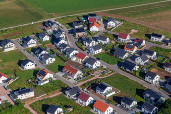 Violet Path in Kandel in the state Rhineland-Palatinate, Germany