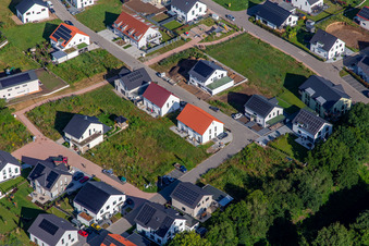 Tulip Trail in Kandel in the state Rhineland-Palatinate, Germany