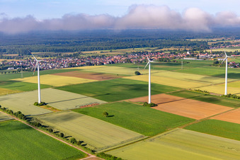 Wind farm Minfeld in low clouds in Minfeld in the state Rhineland-Palatinate, Germany