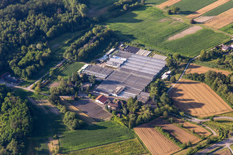 Former geranium nursery in Hagenbach in the state Rhineland-Palatinate, Germany