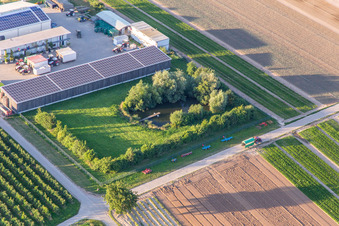 Farmer's garden with natural pond in Winden in the state Rhineland-Palatinate, Germany