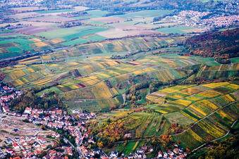 Vineyards towards Wiesloch in Rauenberg in the state Baden-Wuerttemberg, Germany