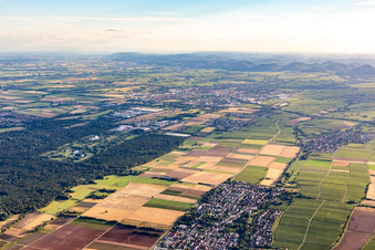 In the background Golf course Landgut Dreihof - GOLF absolute in the district Niederhochstadt in Hochstadt in the state Rhineland-Palatinate, Germany