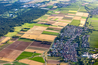 Aerial view of In the background Golf course Landgut Dreihof - GOLF absolute in the district Niederhochstadt in Hochstadt in the state Rhineland-Palatinate, Germany