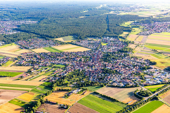 Rheinzabern in the state Rhineland-Palatinate, Germany seen from above
