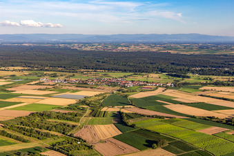 Aerial view of From the north in Schweighofen in the state Rhineland-Palatinate, Germany