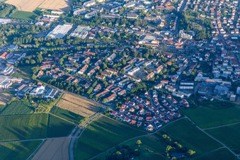 New development area Im Wngert in the district Pleisweiler in Bad Bergzabern in the state Rhineland-Palatinate, Germany
