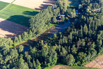 Fish ponds on the Quodbach in Insheim in the state Rhineland-Palatinate, Germany