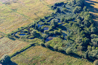 Aerial photograpy of Biotope on the Queich in the district Niederhochstadt in Hochstadt in the state Rhineland-Palatinate, Germany