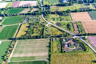 Timber storage areas in the district Niederlustadt in Lustadt in the state Rhineland-Palatinate, Germany