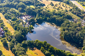 Pond along the Druslach in Lingenfeld in the state Rhineland-Palatinate, Germany