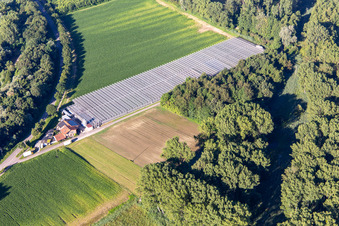 Aerial view of Blumen-Xpert GbR nursery with greenhouses on Hördter Straße in the district Sondernheim in Germersheim in the state Rhineland-Palatinate, Germany