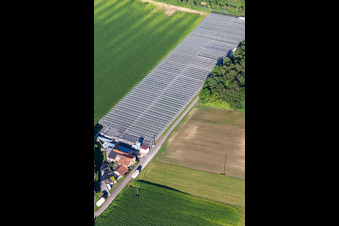 Aerial photograpy of Blumen-Xpert GbR nursery with greenhouses on Hördter Straße in the district Sondernheim in Germersheim in the state Rhineland-Palatinate, Germany