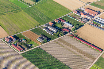 Aussiedlerhöfe Am Bildstöckel in Hatzenbühl in the state Rhineland-Palatinate, Germany
