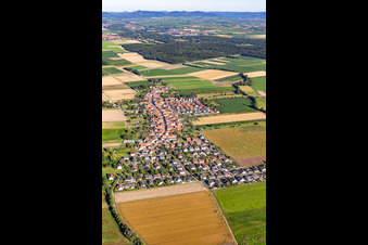Aerial view of From the east in Erlenbach bei Kandel in the state Rhineland-Palatinate, Germany