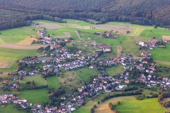 Michelstadt/Weiten-Gesäß