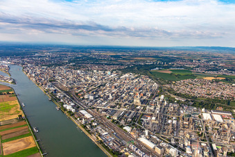Aerial view of Chemical plant on the banks of the Rhine in the district BASF in Ludwigshafen am Rhein in the state Rhineland-Palatinate, Germany