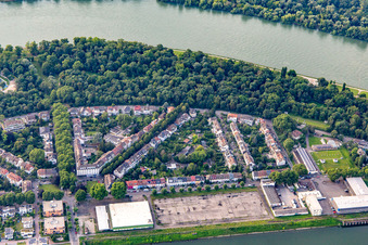 Aerial view of Park island between the Rhine and Luitpoldhafen in the district Süd in Ludwigshafen am Rhein in the state Rhineland-Palatinate, Germany