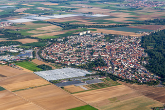 Ludwigshafen/Maudach