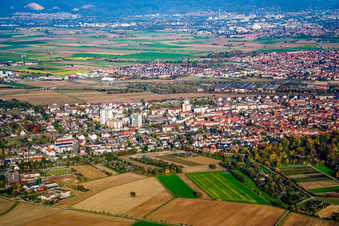 City from the west in Schwetzingen in the state Baden-Wuerttemberg, Germany