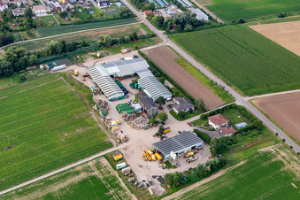 Grafenländer vegetables in Freisbach in the state Rhineland-Palatinate, Germany