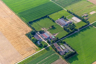 Aerial view of Rosenhof and Eichenhof, Since then in Ottersheim bei Landau in the state Rhineland-Palatinate, Germany