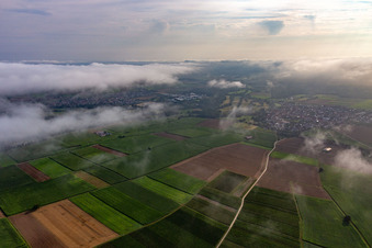 Under low clouds in Rohrbach in the state Rhineland-Palatinate, Germany