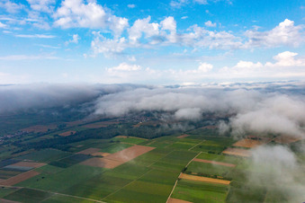 Under low clouds in Barbelroth in the state Rhineland-Palatinate, Germany