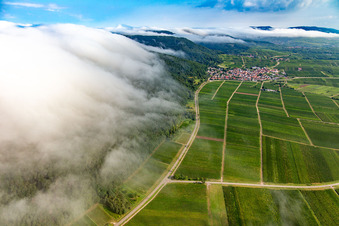 Dense clouds from the west flow over the Haardt edge below the Madenburg in Eschbach in the state Rhineland-Palatinate, Germany