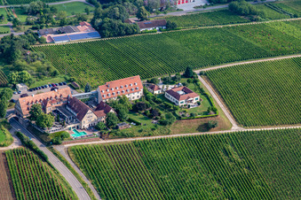 4-star hotel Leinsweiler courtyard between vineyards in the morning in Leinsweiler in the state Rhineland-Palatinate, Germany