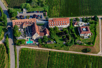 Aerial view of 4-star hotel Leinsweiler courtyard between vineyards in the morning in Leinsweiler in the state Rhineland-Palatinate, Germany
