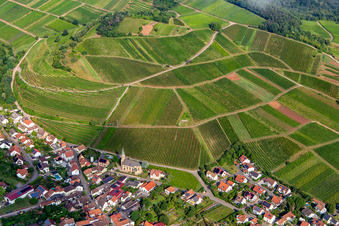 Kastanienbusch vineyard behind the wine village from the southeast in Birkweiler in the state Rhineland-Palatinate, Germany