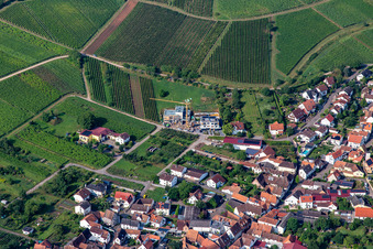 At the Gaisberg from the northeast in Birkweiler in the state Rhineland-Palatinate, Germany