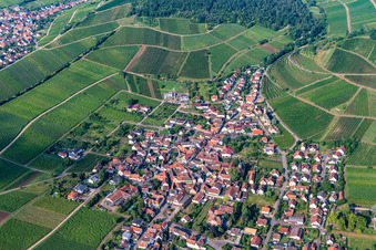 Kastanienbusch vineyard behind the wine village from the east in Birkweiler in the state Rhineland-Palatinate, Germany