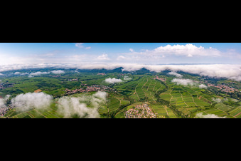 Vineyards from the small Kalmit to the edge of the cloud-covered Palatinate Forest between Siebeldingen, Arzheim, Ilbeshheim and Eschbach in Ilbesheim bei Landau in the state Rhineland-Palatinate, Germany