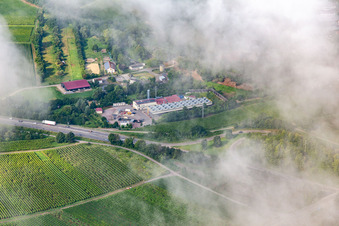 Aerial view of Low clouds over the geothermal power plant Insheim in Insheim in the state Rhineland-Palatinate, Germany
