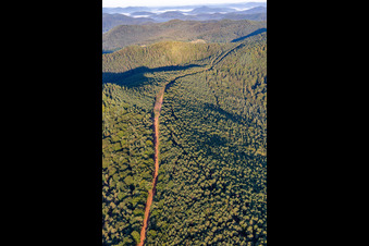 Route for the new construction of the 51 km section of the Trans-Europe Natural Gas Pipeline (TENP-I between the Netherlands and Switzerland) between Mittelbrunn and Klingenmünster in Klingenmünster in the state Rhineland-Palatinate, Germany