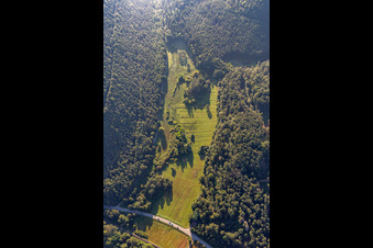 Clearing in the Seebachtal in Hinterweidenthal in the state Rhineland-Palatinate, Germany