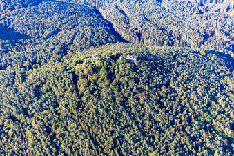 Ruins of Drachenfels Castle in Busenberg in the state Rhineland-Palatinate, Germany