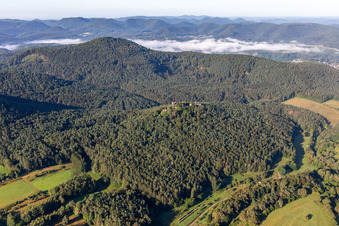 Aerial photograpy of Ruins of Drachenfels Castle in Busenberg in the state Rhineland-Palatinate, Germany