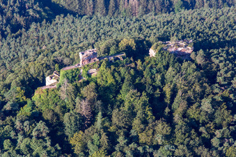 Ruins of Drachenfels Castle in Busenberg in the state Rhineland-Palatinate, Germany from above