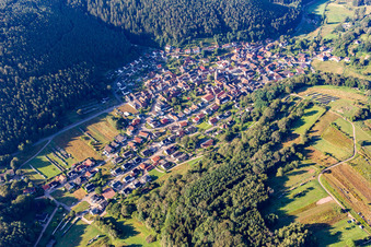 Bird's eye view of Vorderweidenthal in the state Rhineland-Palatinate, Germany
