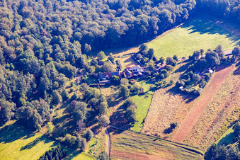 Cramerhaus hut and game restaurant at the foot of the Lindelbrunn castle ruins in Vorderweidenthal in the state Rhineland-Palatinate, Germany