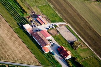 Hillenbrand Asparagus Farm in Schwetzingen in the state Baden-Wuerttemberg, Germany