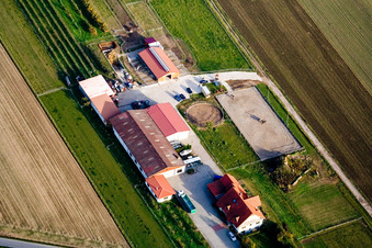 Aerial view of Hillenbrand Asparagus Farm in Schwetzingen in the state Baden-Wuerttemberg, Germany