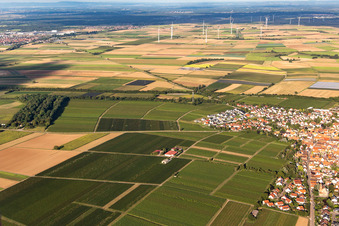 Drone recording of Insheim in the state Rhineland-Palatinate, Germany