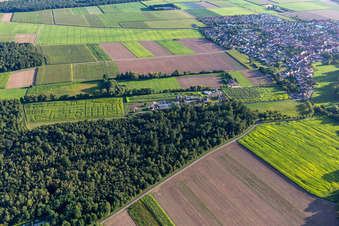 Corn maze, wedding location and beach lounge Seehof in Steinweiler in the state Rhineland-Palatinate, Germany seen from a drone