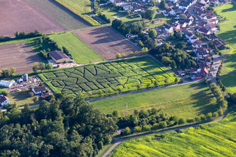 Aerial view of Corn maze, wedding location and beach lounge Seehof in Steinweiler in the state Rhineland-Palatinate, Germany